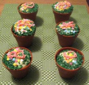 Blooming Cupcake Kit 1