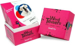 Word Teasers Small Fry