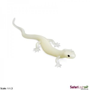 Salamander