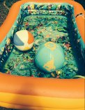 Small 3D Pool