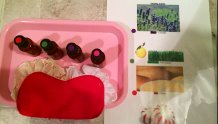 Montessori smelling