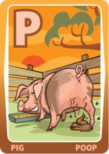 P Pig Poop