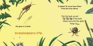 bug2